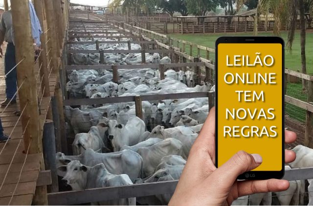 LEILÃO ONLINE TEM NOVAS REGRAS