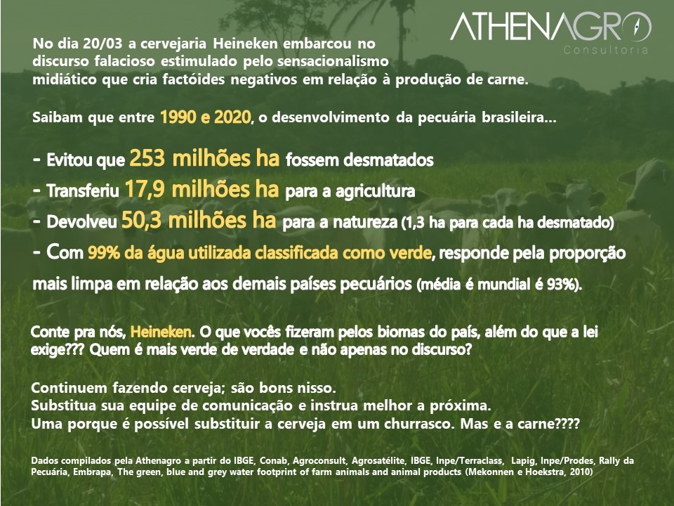 Maurício Palma Nogueira, Sócio diretor da Athenagro