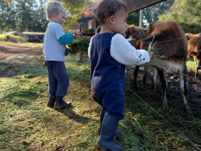 Os pequenos Valentin e Martín participam das atividades cotidianas da propriedade