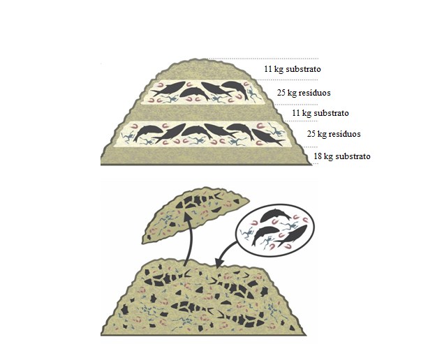 Figura 5 - Representação esquemática da montagem inicial das leiras (A) com recarga de carcaças de animais aquáticos (B). Fonte: Lopes (2020)