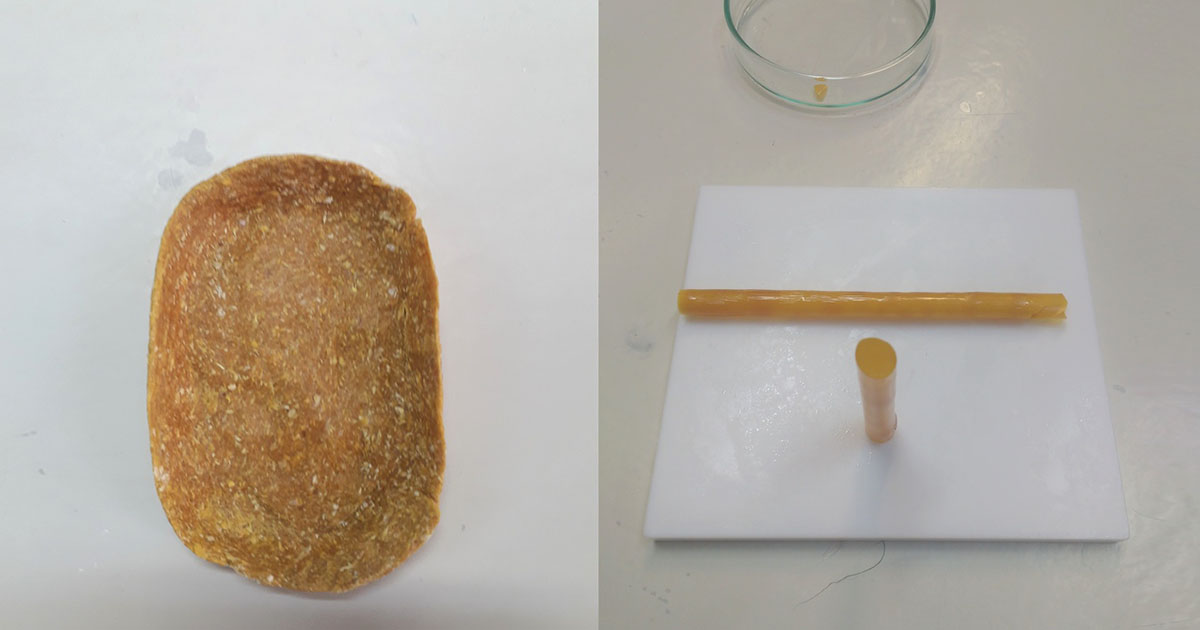 Saboneteira e canudo obtidos a partir da zeína extraída com a nova técnica da USP – Foto: Sérgio A. Yoshioka/Arquivo pessoal