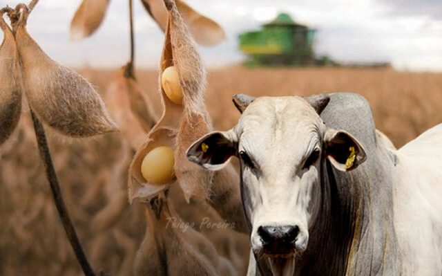 TOP 100 DO AGRO