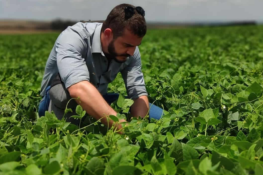 agronomo analisando lavoura de feijao