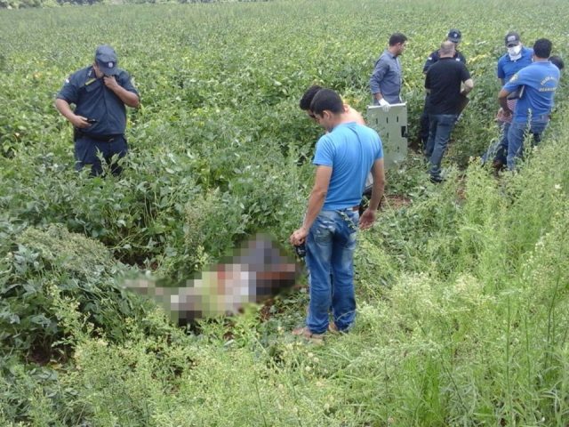 homem morto em lavoura de soja