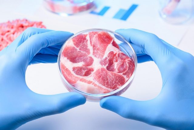 carne de laboratório
