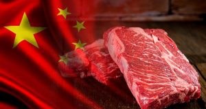 carne vermelha brasileira vai pra china