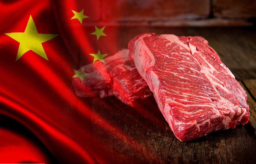 carne vermelha brasileira vai pra china