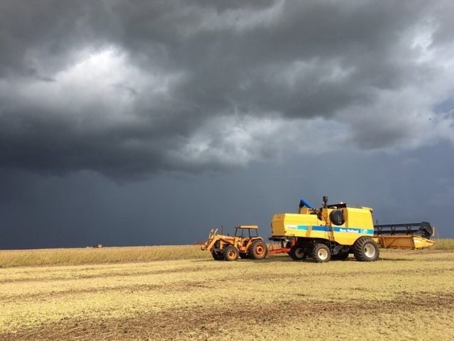 fazendo colheita e a tempestade chegando fazendo colheita e a tempestade chegando