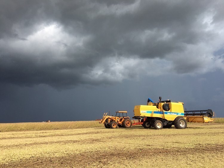 fazendo colheita e a tempestade chegando
