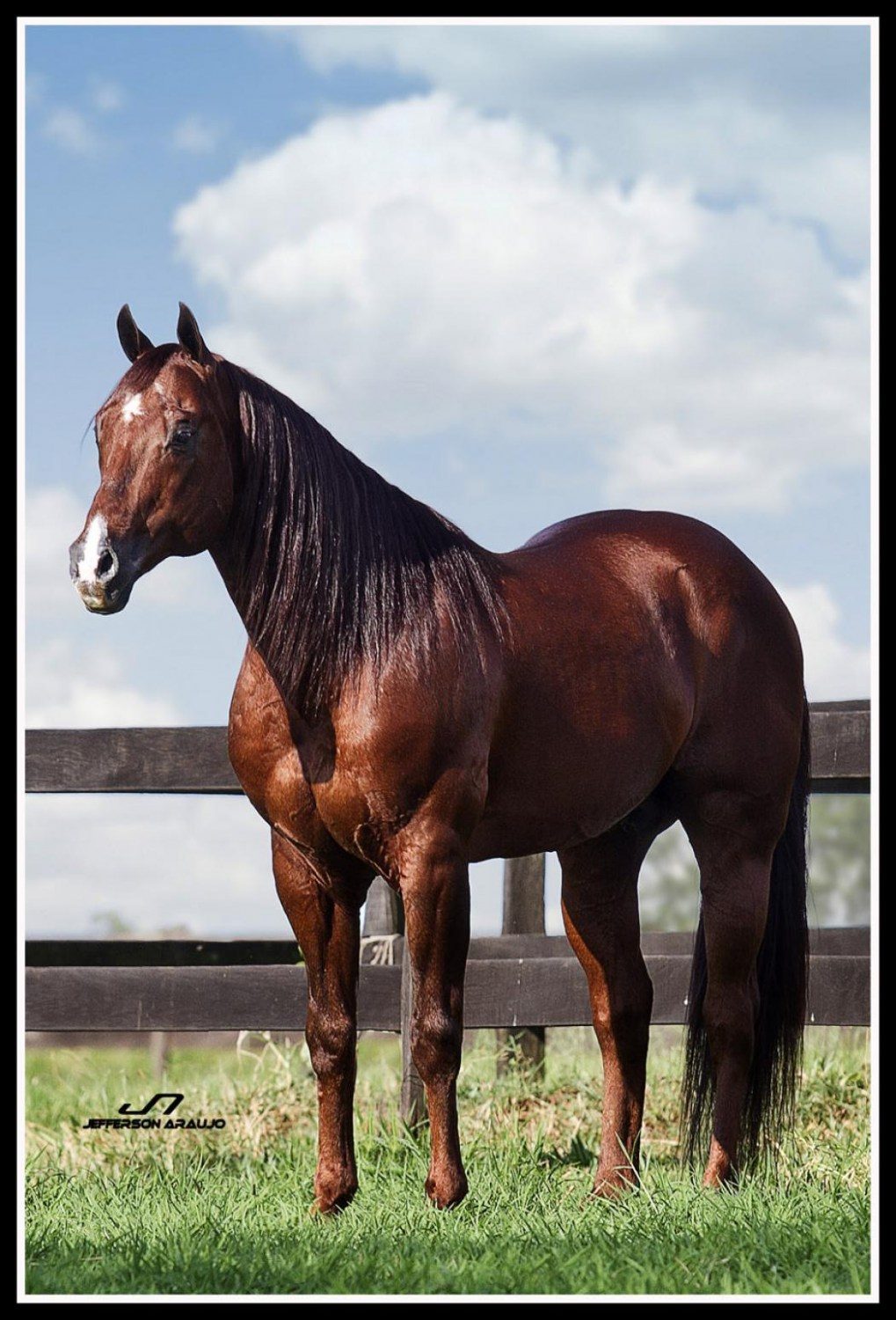 keys to the moon cavalo