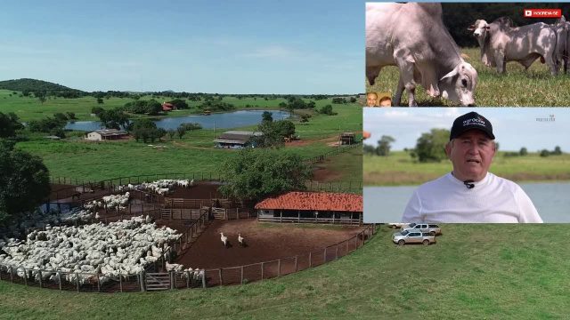 amado batista vende fazenda