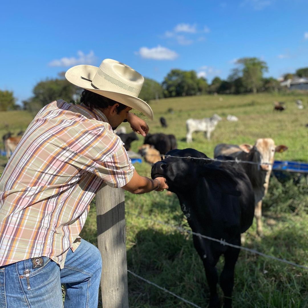 victor darido fazendo carinho no gado na fazenda