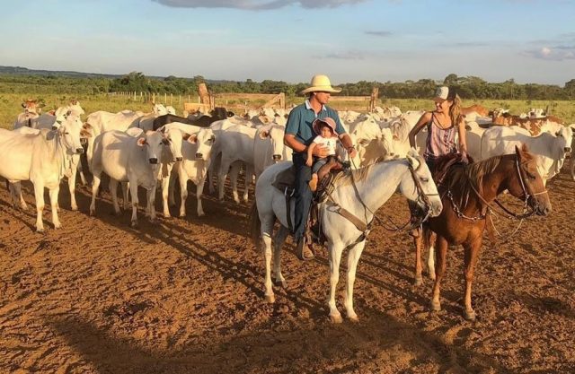 Caio Afiune - Fazenda