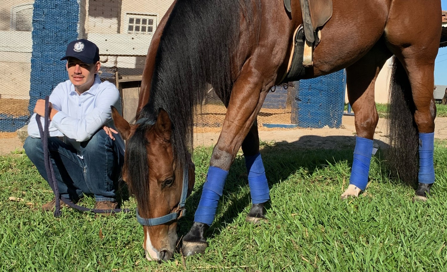 Cavalos oferecem melhor qualidade de vida às pessoas autistas