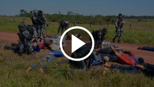 POLICIA-ROUBO-DE-GADO-DOIS