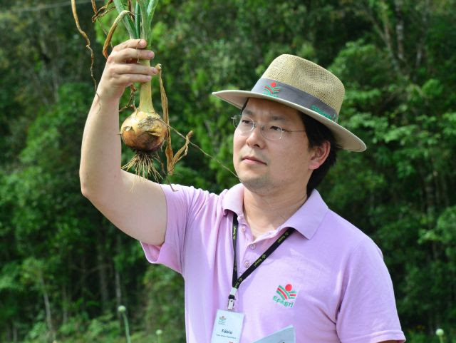 Por meio de cruzamentos, avaliações e seleções de plantas, os pesquisadores conseguem aumentar nelas a frequência de determinadas características (Foto: Aires Mariga/Epagri)