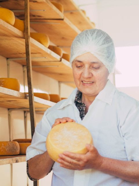 Queijo serrano de São Joaquim recebe o Selo Arte 