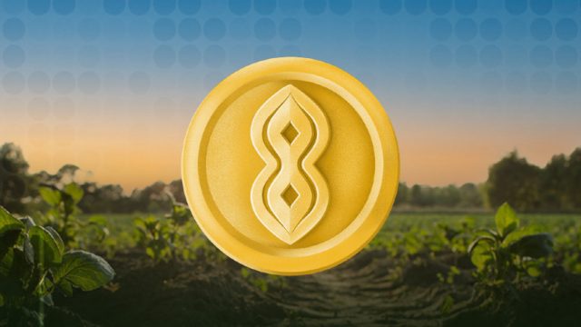 Soya