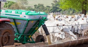 Tecnologia para manejo nutricional de bovinos à pasto é tendência para aumentar resultados em 2021