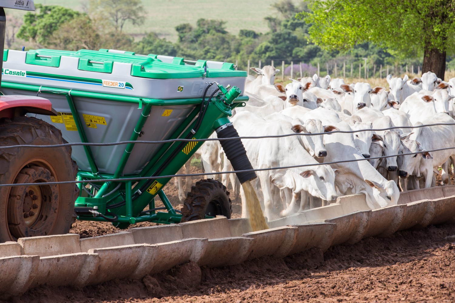 Tecnologia para manejo nutricional de bovinos à pasto é tendência para aumentar resultados em 2021