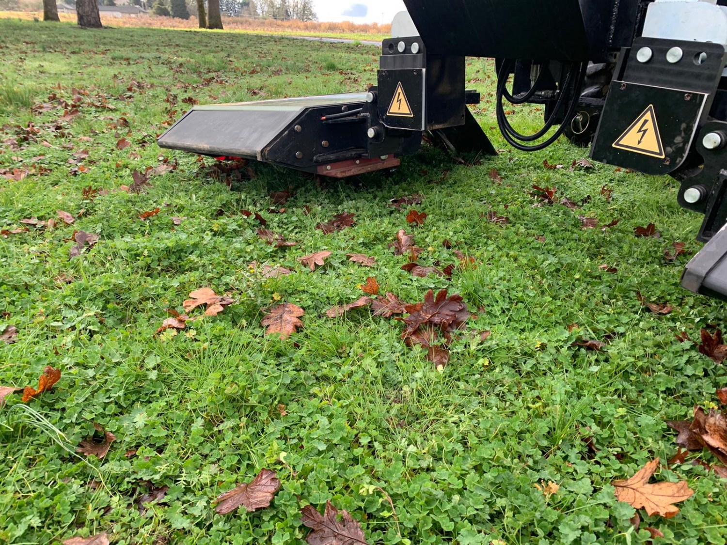 Equipamento começa a ser utilizado para o controle de plantas invasoras em áreas de mirtilos e avelãs e pode se tornar uma opção também para produtores dessas culturas no País