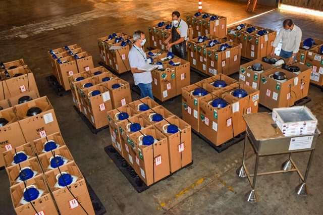 brasil recebe maior importacao de semen da historia