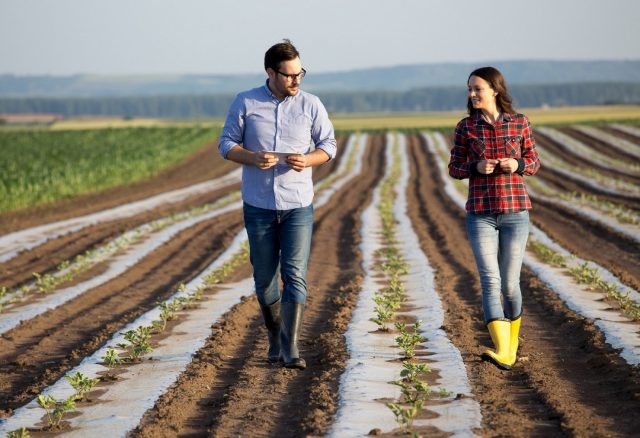 consultores-do-agro