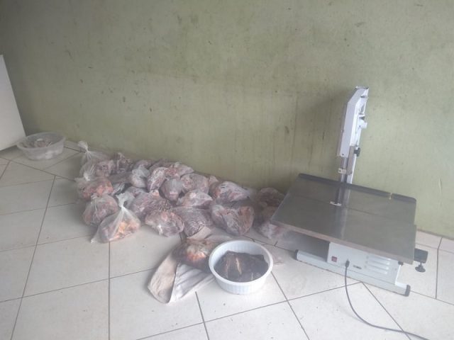 dezenas-de-quilos-de-carne-apreendidos-pela-pc-to