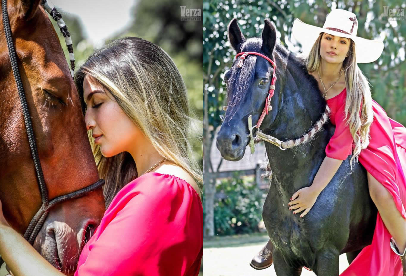 Cavalo enfia tudo na mulher