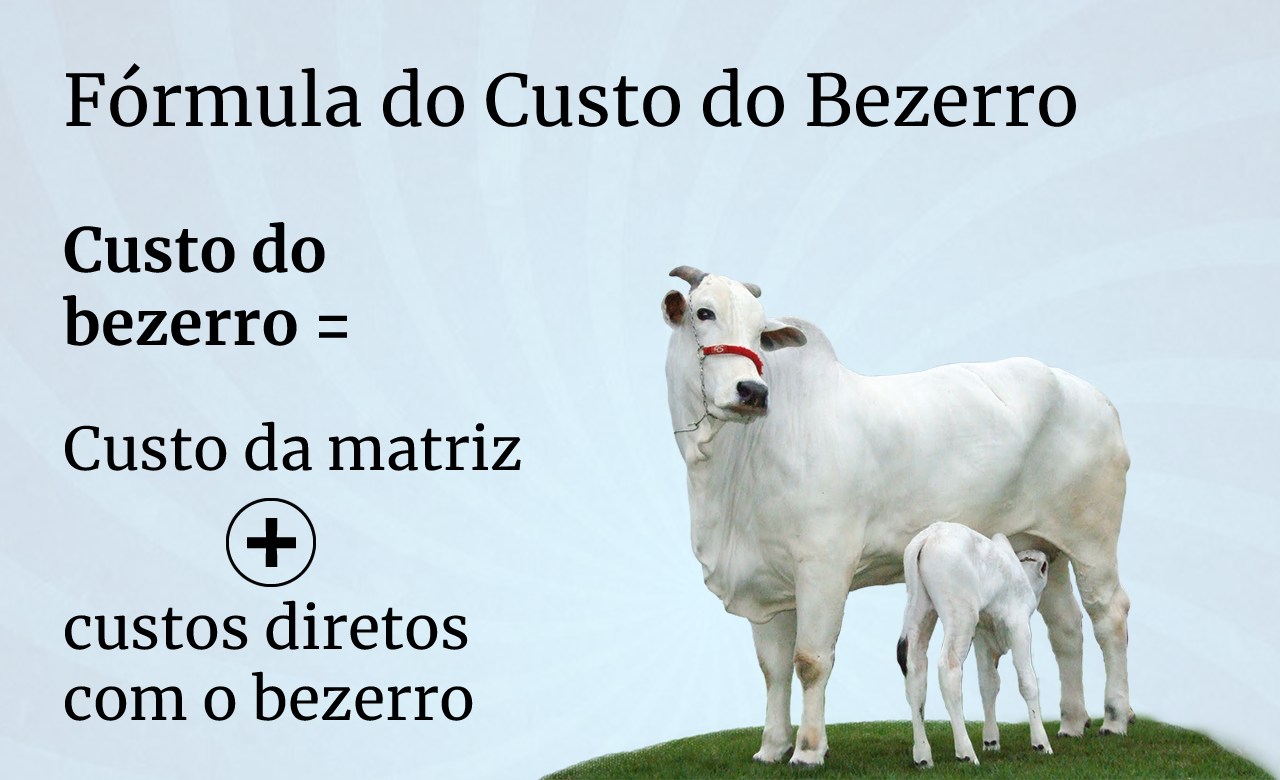 formula do custo do bezerro na pecuaria de corte