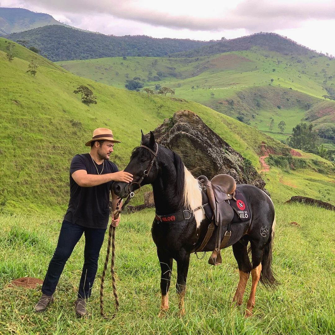 joao bosco - cavalo mangalarga marchador