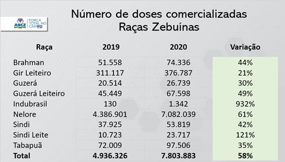 numero de dozes comercializadas das racas zebuinas