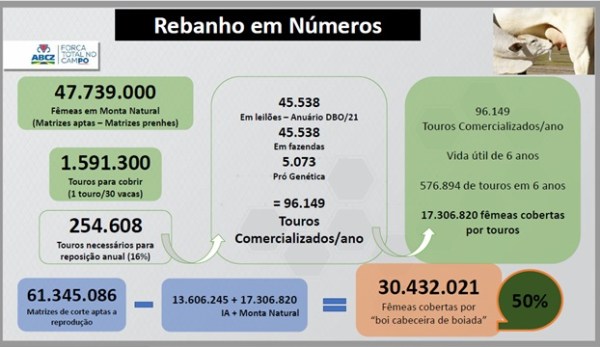 numeros da pecuaria brasileira e inseminacao artificial