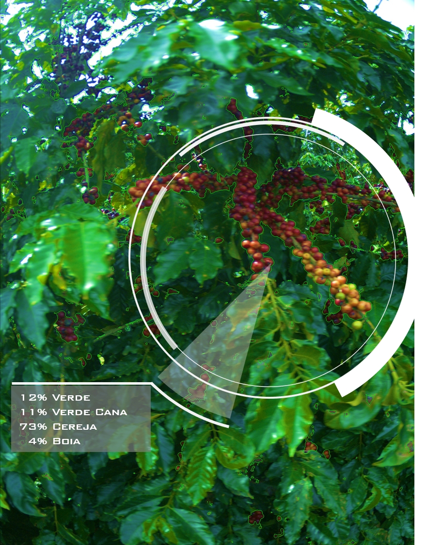 Projeto faz detecção do estágio de maturação de frutos, produtividade e pragas utilizando sensores de altíssima resolução, visão computacional e inteligência artificial