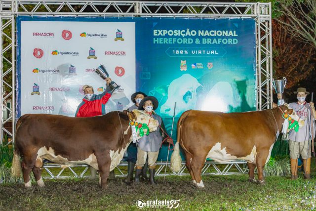Veja os campeões Hereford e Polled Hereford na Nacional 2021 Veja os campeões Hereford e Polled Hereford na Nacional 2021