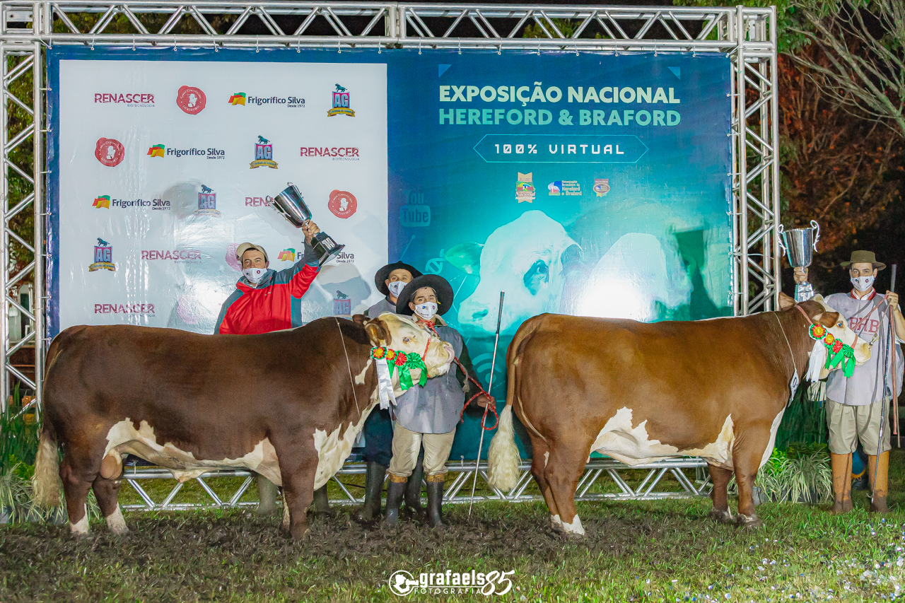 Veja os campeões Hereford e Polled Hereford na Nacional 2021