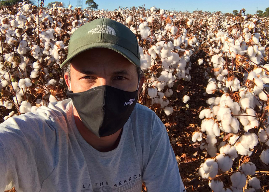 Nelson Suassuna, pesquisador responsável pela obtenção da cultivar