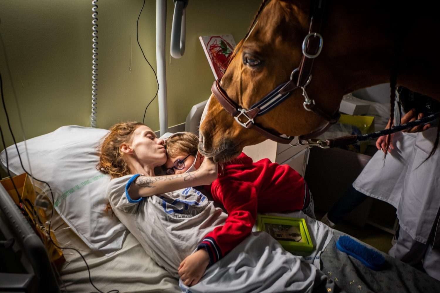 Peyo - cavalo ajuda pacientes em hospital 2