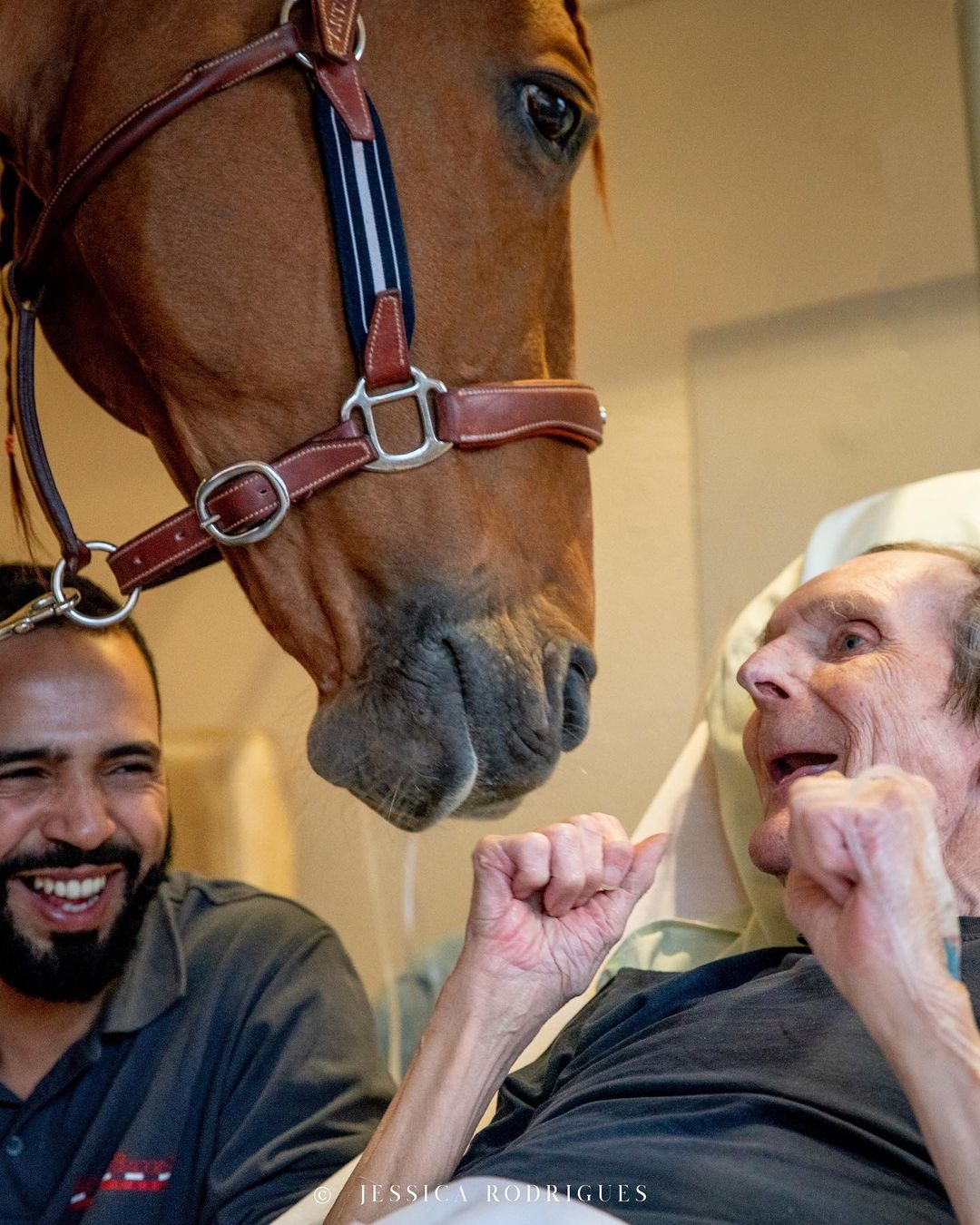 Peyo - cavalo ajuda pacientes em hospital
