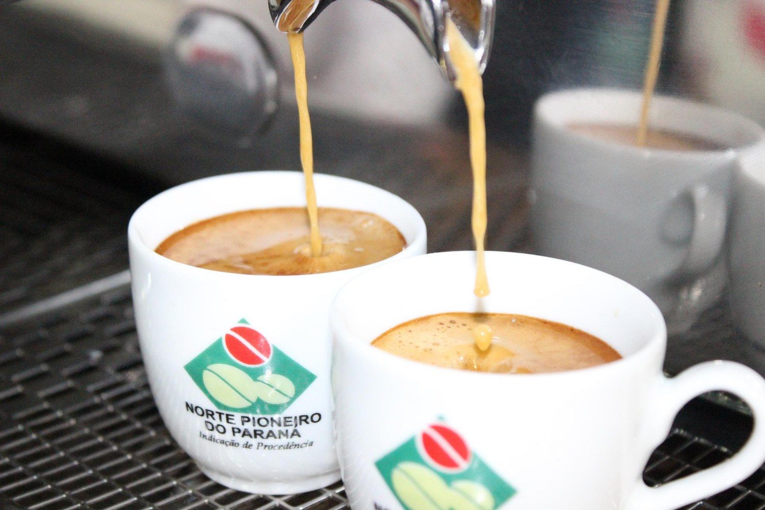 IG trouxe visibilidade nacional e internacional para o café paranaense. 