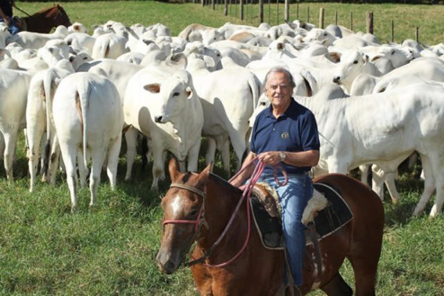 Segundo-Carlos-Viacava-dono-da-marca-Nelore-Mocho-CV-essa-ferramenta-vai-possibilitar-ao-País-exportar-carne-macia Segundo-Carlos-Viacava-dono-da-marca-Nelore-Mocho-CV-essa-ferramenta-vai-possibilitar-ao-País-exportar-carne-macia