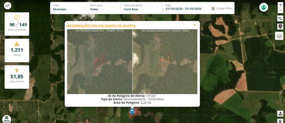 Figura 4. Visualização da imagem de antes e depois de uma ocorrência de remoção da vegetação nativa.