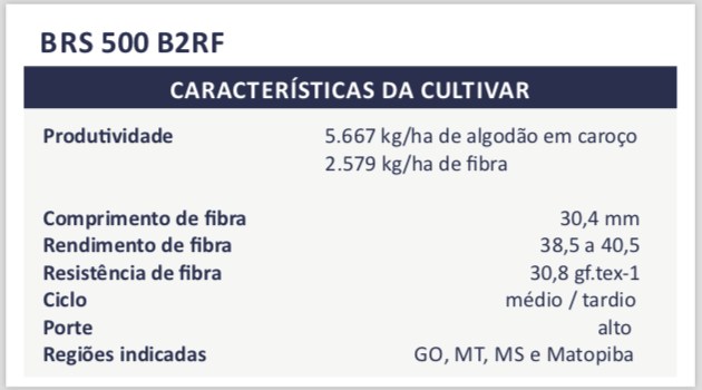 cultivar BRS 500 B2RF - caracteristicas