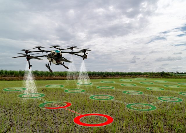 iot smart agriculture industry 4.0 concept, drone (in precision farm) use for spray a water, fertilizer or chemical to the field, farm for growth a yields,crops, use for control, kill the bug or weed
