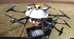 drones transportando genetica suina
