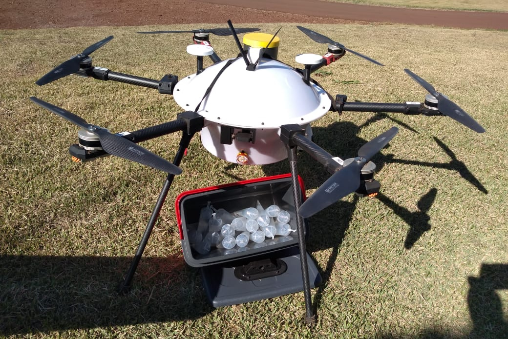 drones transportando genetica suina