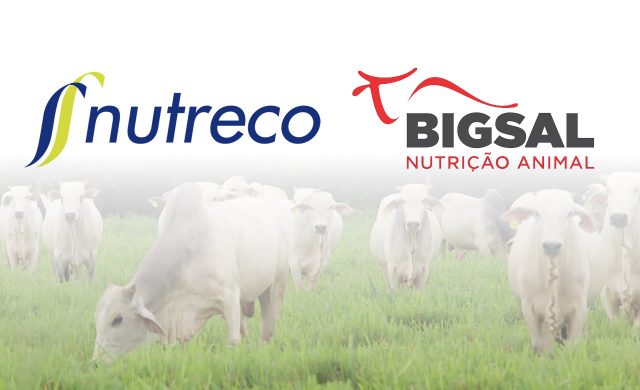 Nutreco faz aquisição da Bigsal Nutrição Animal Nutreco faz aquisição da Bigsal Nutrição Animal