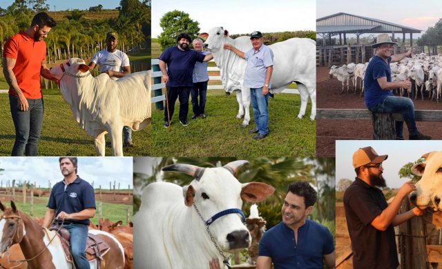 sertanejos da pecuaria sertanejos da pecuaria