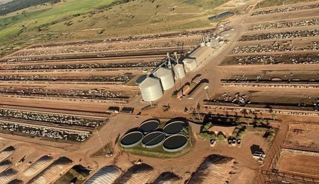 Fazenda Conforto - Confinamento