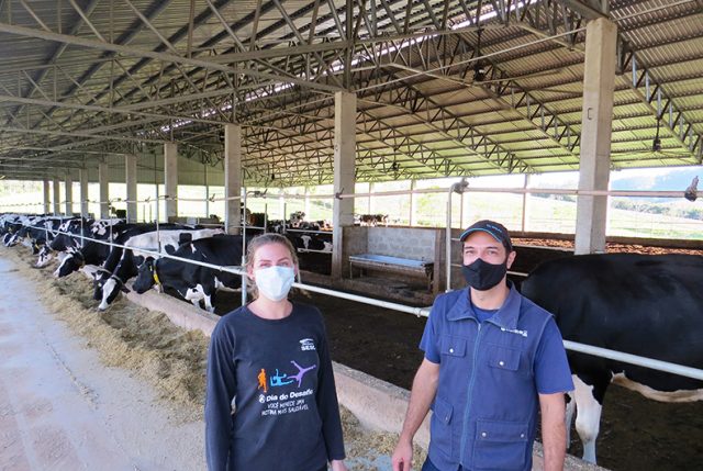 Bem-estar-animal-e-dieta-alimentar-aumentam-produtividade-leiteira-de-propriedade-em-Venancio-Aires-Foto-Carina-Venzo-Cavalheiro